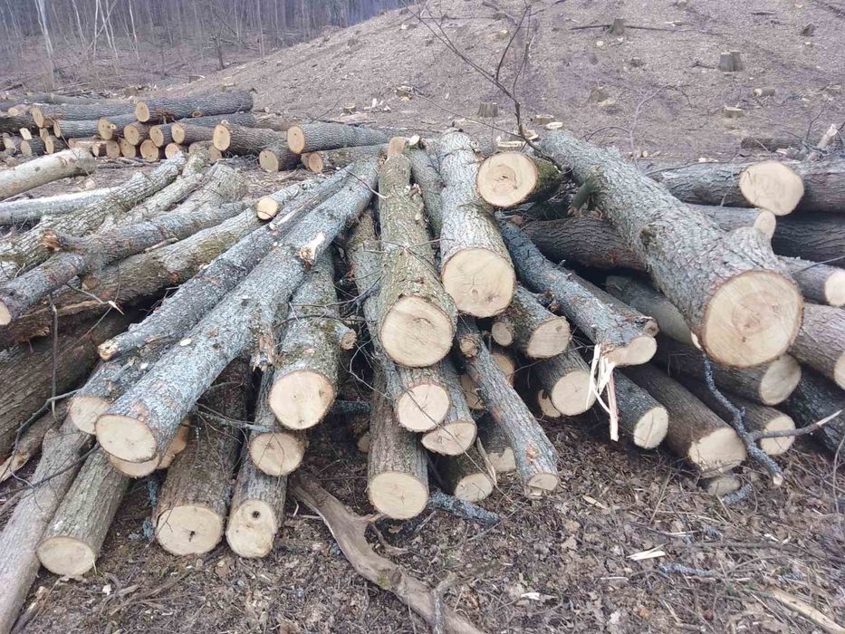 Дрова твёрдых пород