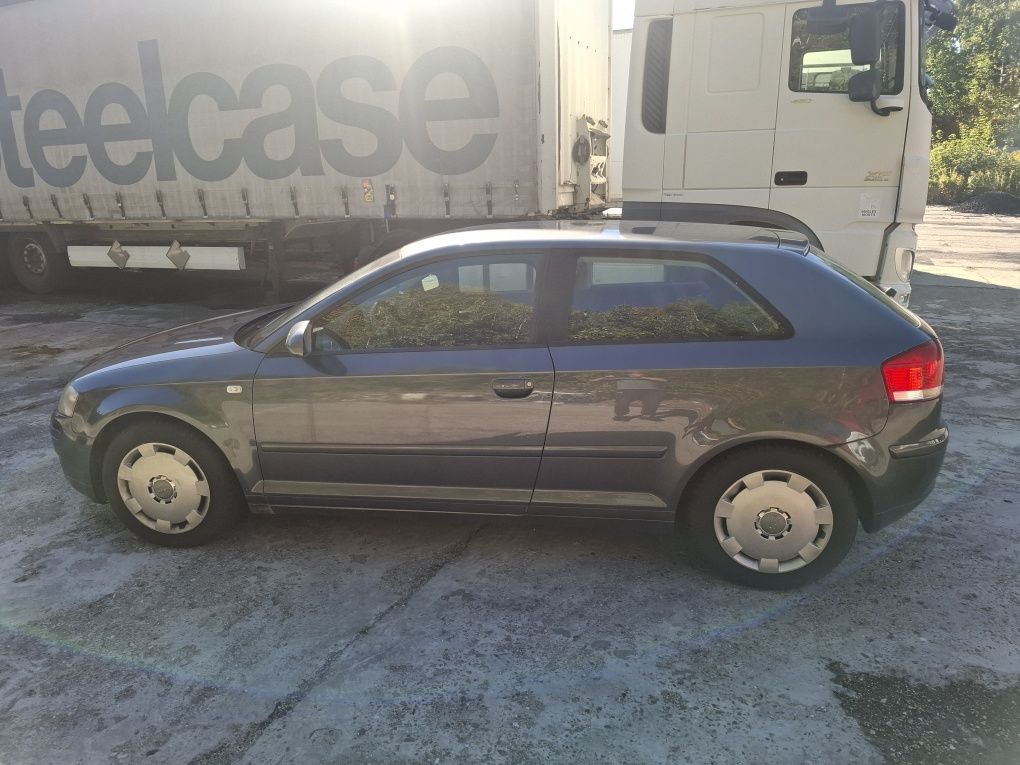 Audi A3 8p 1.6 mpi z Niemiec