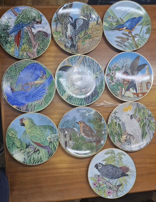 Pratos Joias Vivas da Floresta Tropical - Rui França