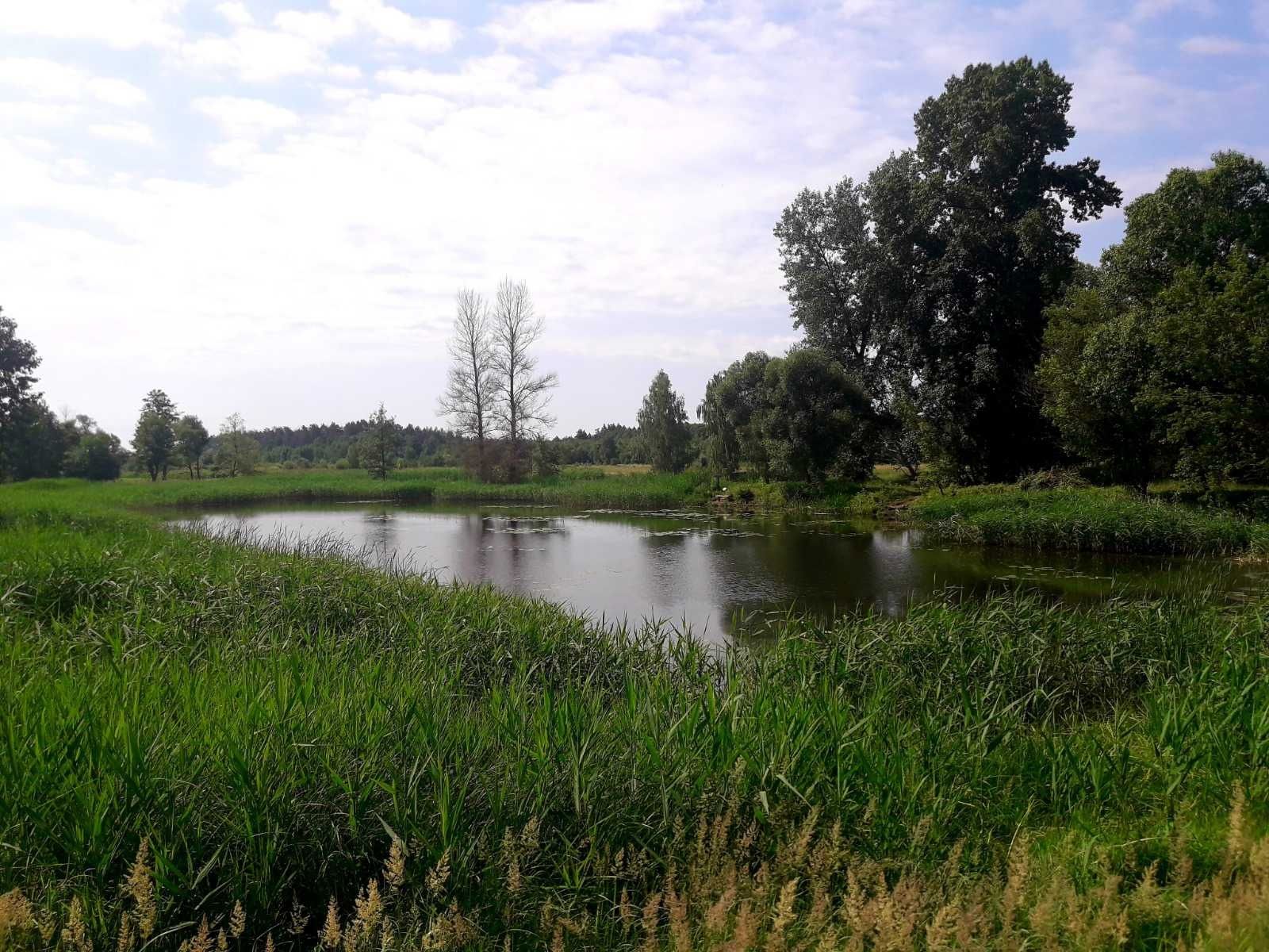 Продаж будинку село Вахівка Вишгородський район 110м2  10 соток