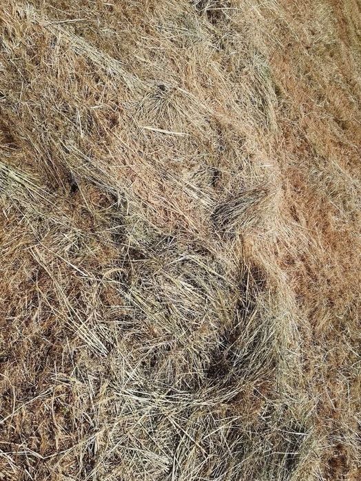 Bolas de palha azevem