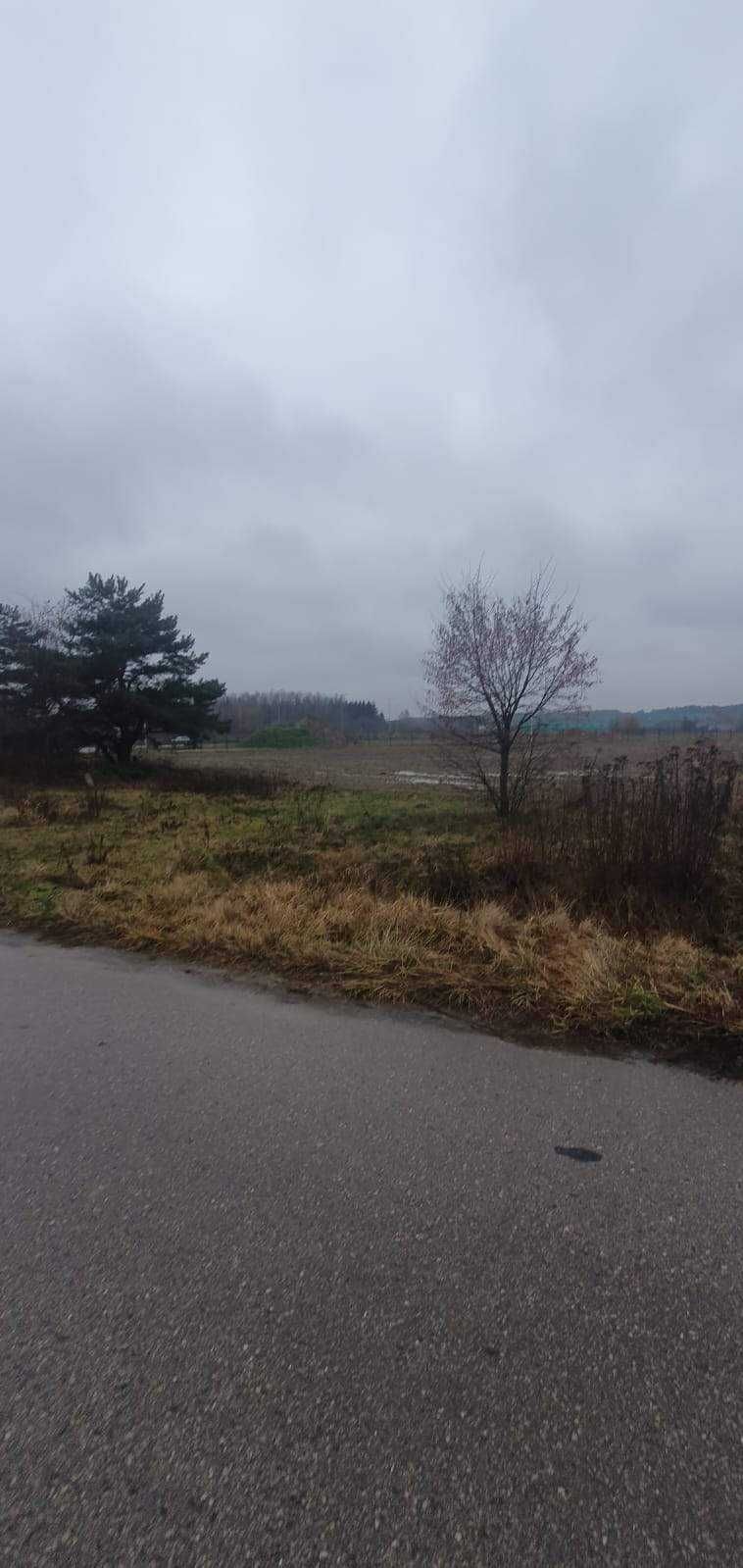 Działka przy autostradzie A2, Mińsk Mazowiecki