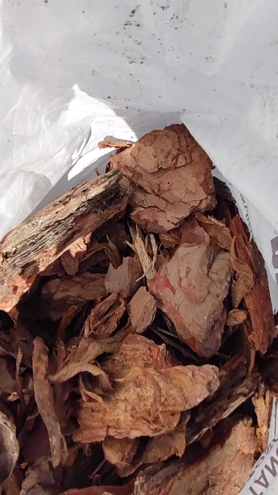 Kora sosnowa Ziemia do iglaków Ziemia Ogrodowa PRODUCENT NAJTANIEJ!