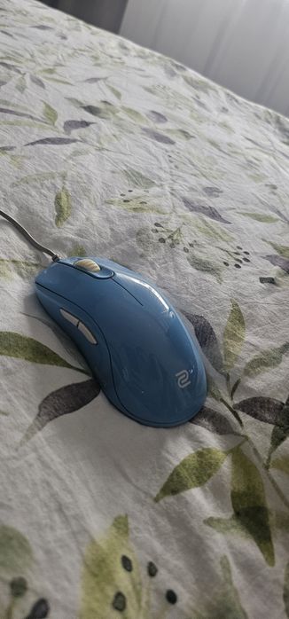 Myszka Zowie EC2-B DIVINA BLUE