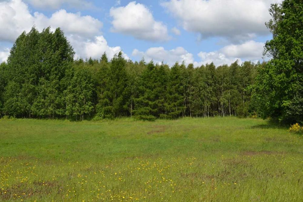 działka budowlana pod Sierakowicami