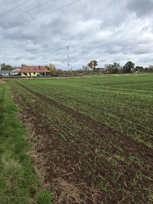 Działki orne uprawne