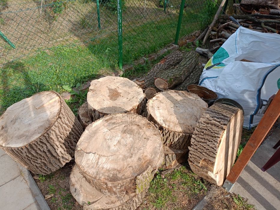 Drewno opałowe i do wędzenia oraz rozpałkę