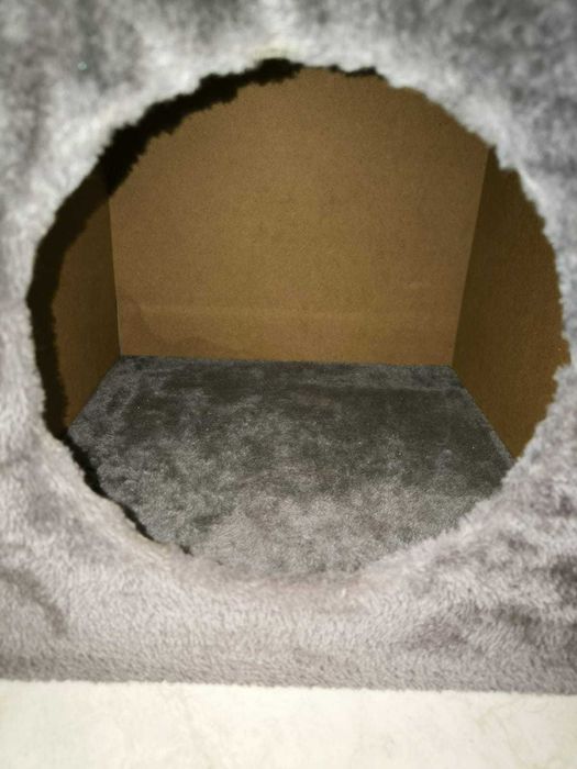 Arranhador Gatos