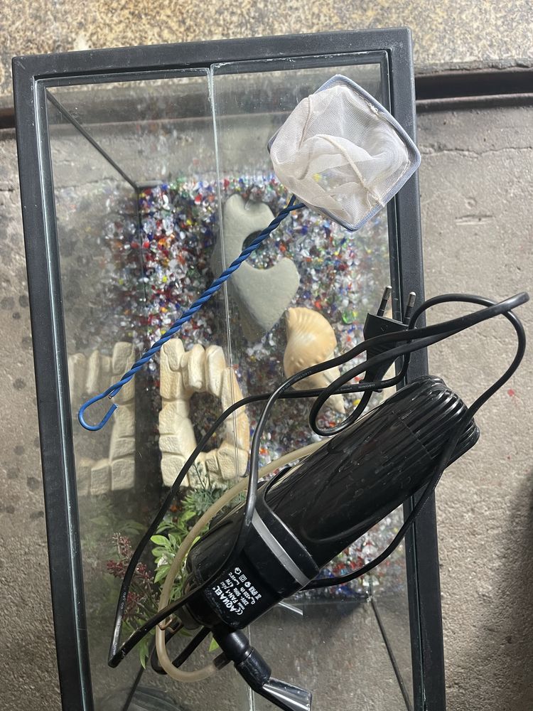 Aquario pequeno
