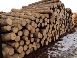 Твердо паливна деревина