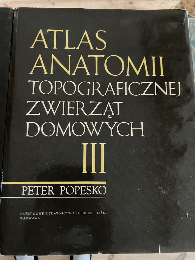 Atlas Anatomii Topograficznej Zwierząt Domowych t 1-3 kpl P Popesko
