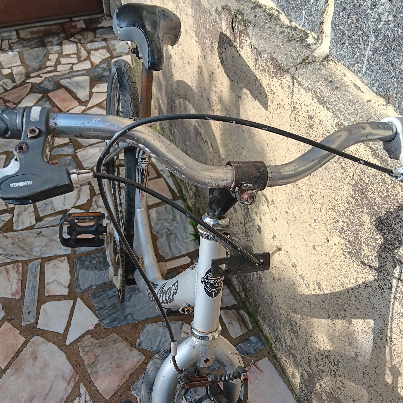 Bicicleta toda 26