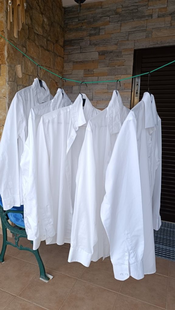 Camisas homem brancas novos lavadas