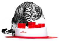 Інтерактивна годівниця для котів Royal Canin Digg