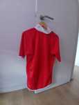 Camisola benfica
