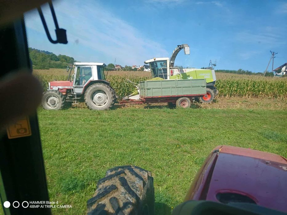 Sprzedam Massey Ferguson 3070