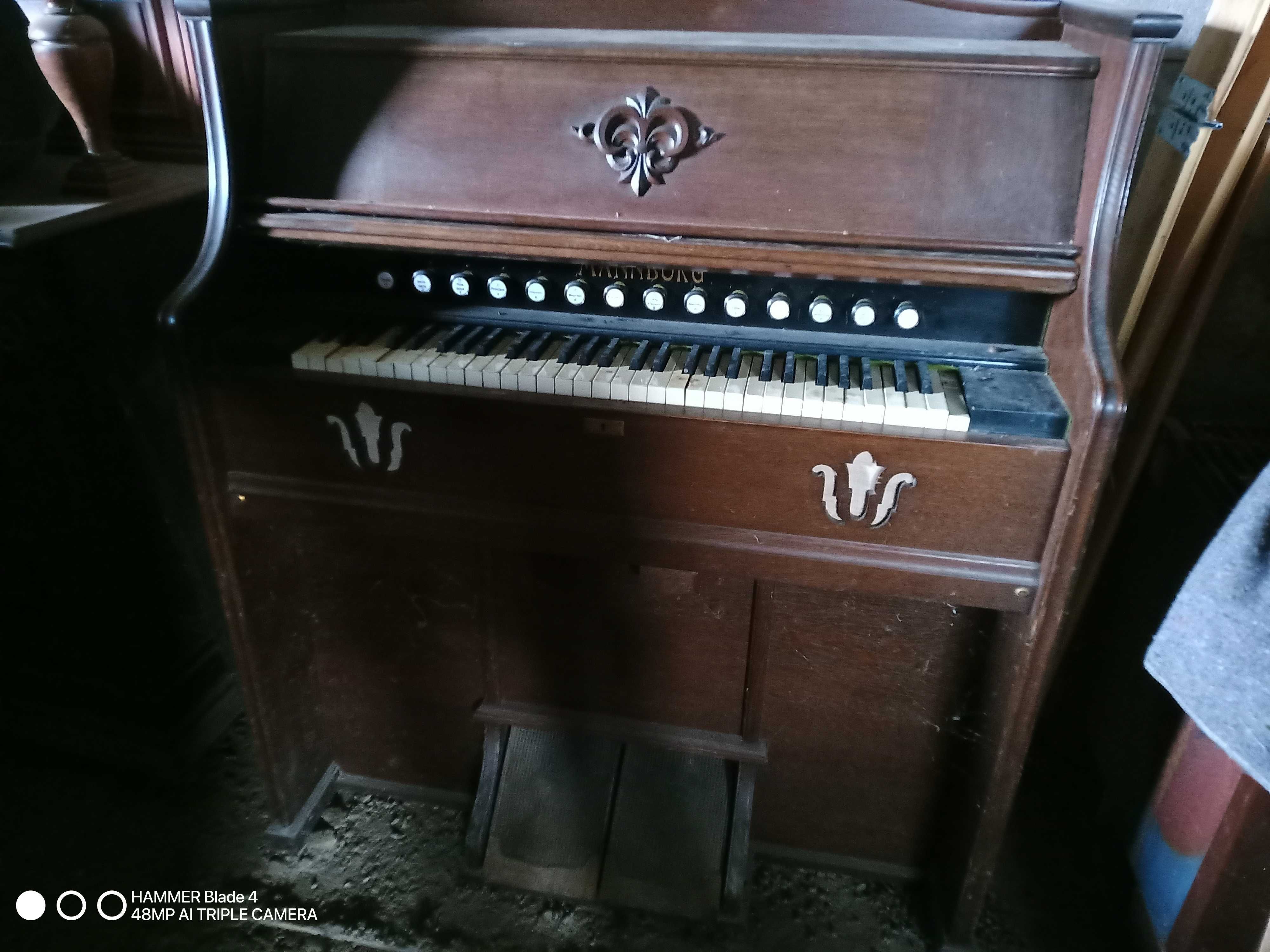 Harmonium Mannborg