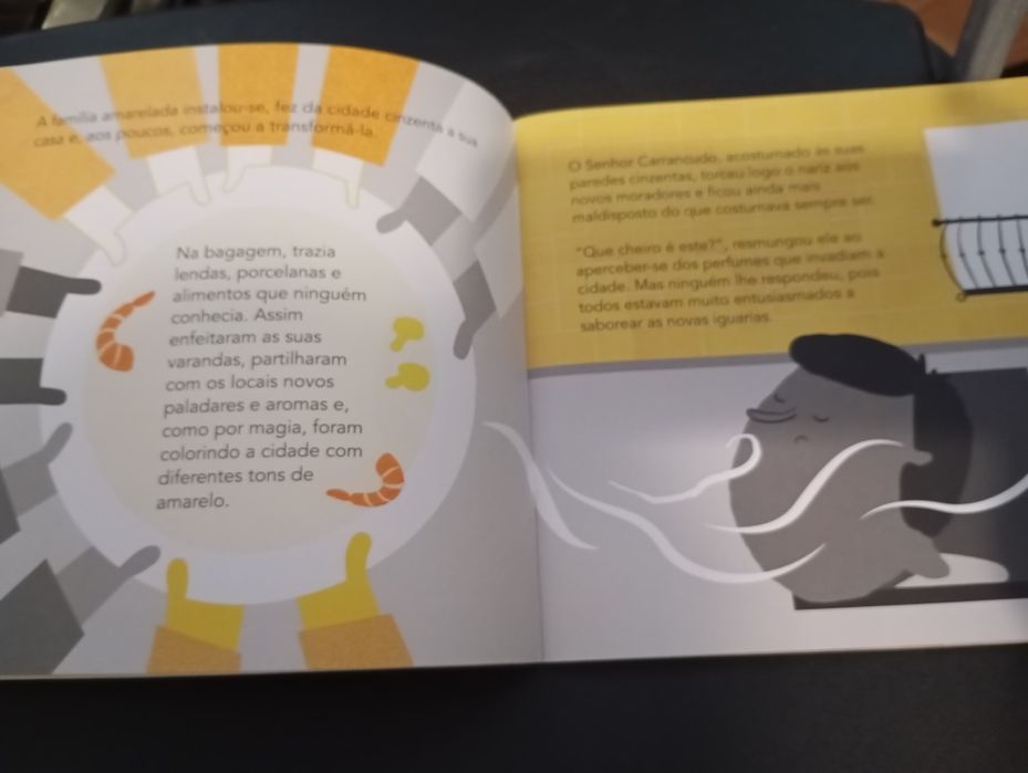 Livro " As cores da cidade cinzenta"