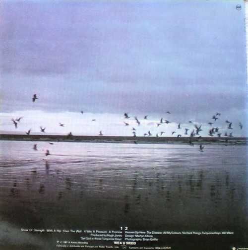 Echo and the Bunnymen - Heaven Up Here (1981) & Mais 3 LP Vinil