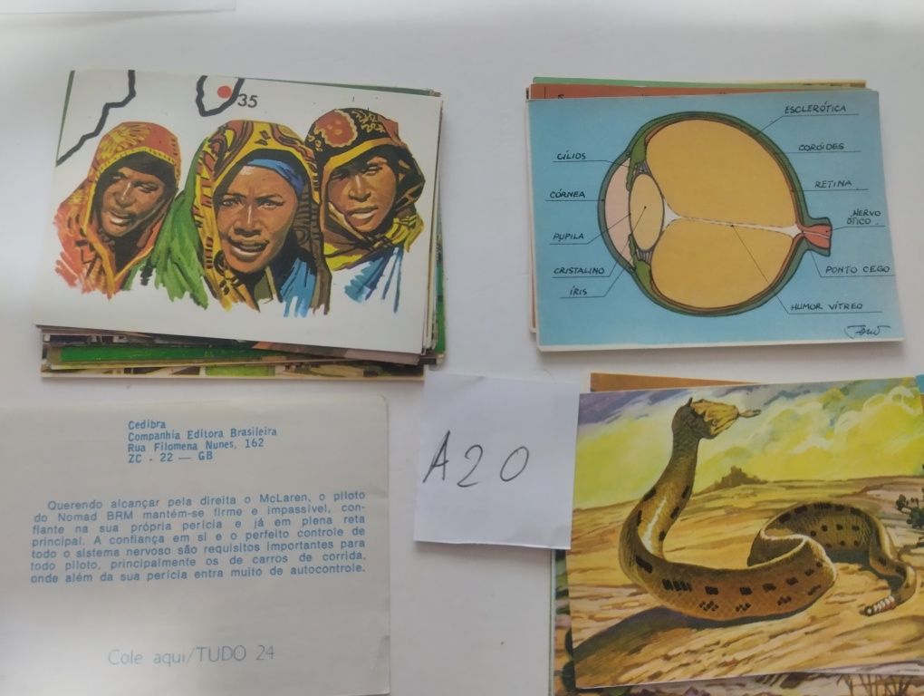 A3 Cromos de várias coleções
