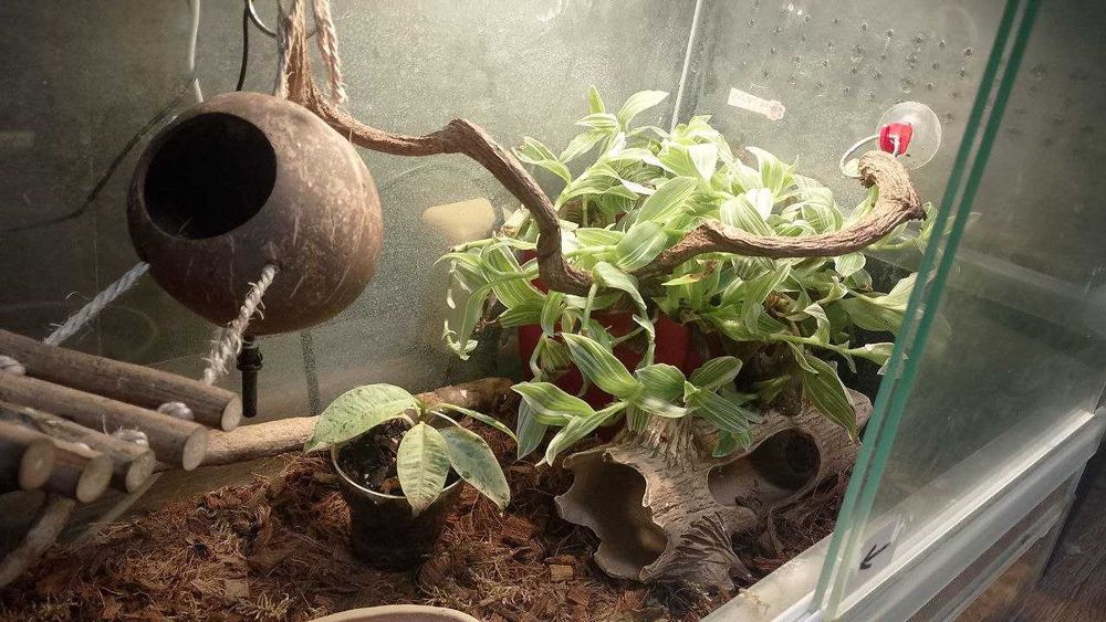 Терарріум 60х35х40