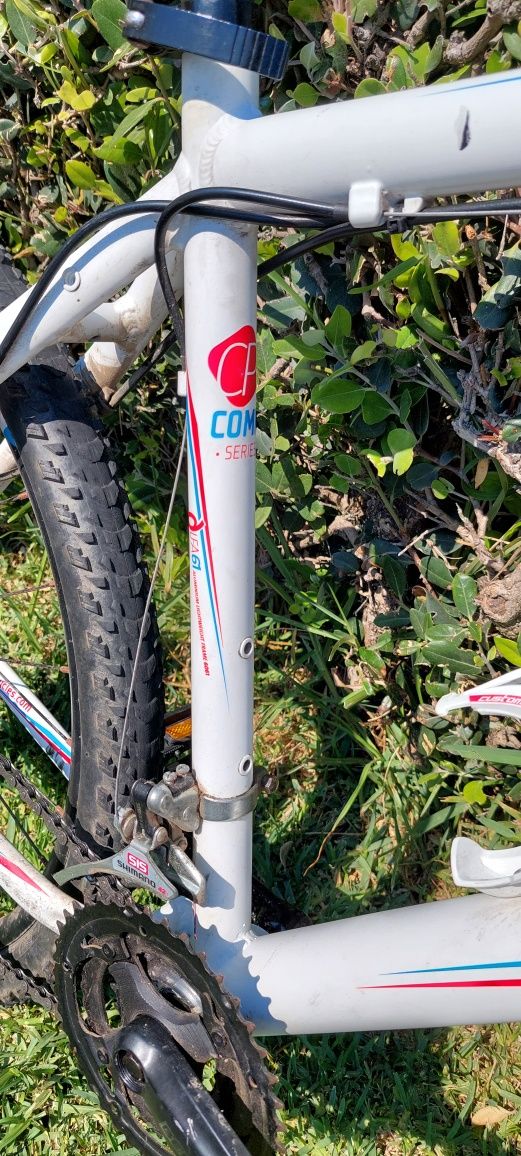 Berg trail Rock LTD