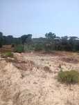 Terreno  para venda