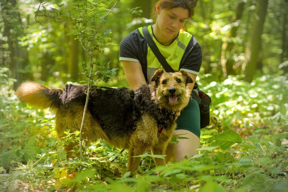 Bambosz-szuka swojego miejsca :)