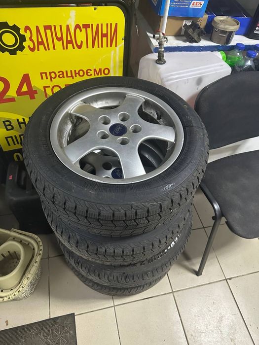 Ризина нова зимова