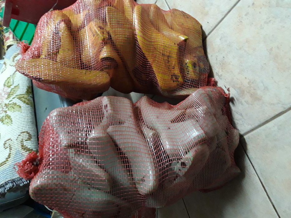 Formas sapatos varias cores e colecções