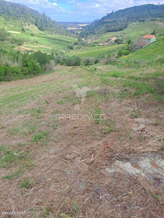 Terreno Rústico c/ 7080m2  - Cadaval