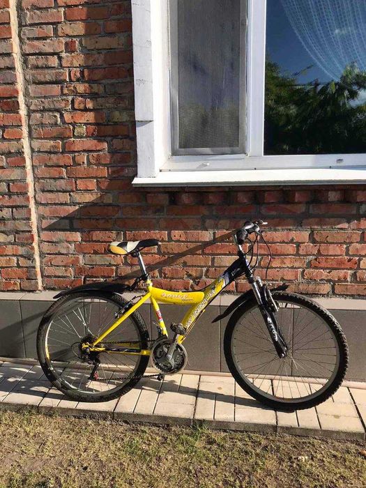 Велосипед Winner Amigo - 24