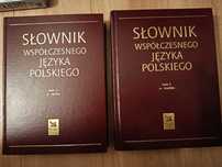 Słownik współczesnego języka polskiego dwa tomy