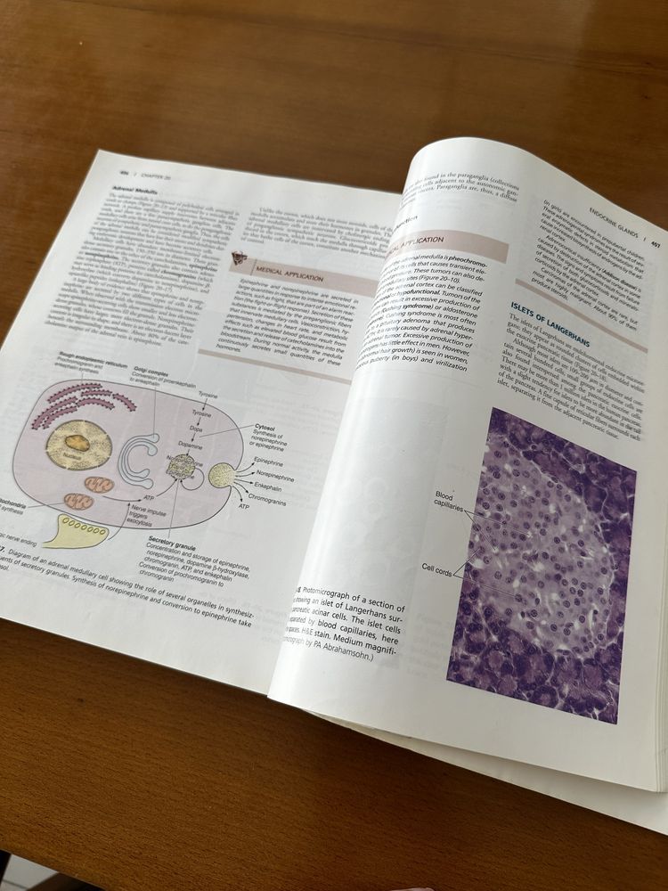 Basic Histology Junqueira