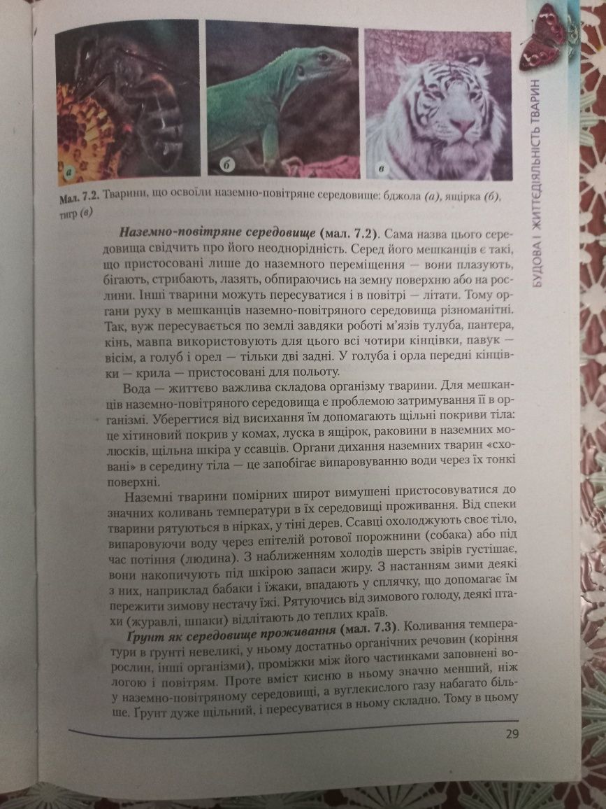 Підручник Біологія 8 клас