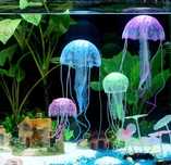 Medusas brilhantes