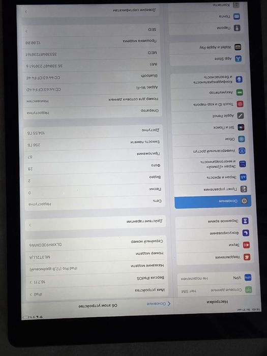 Ipad Pro 12,9 256 gb
