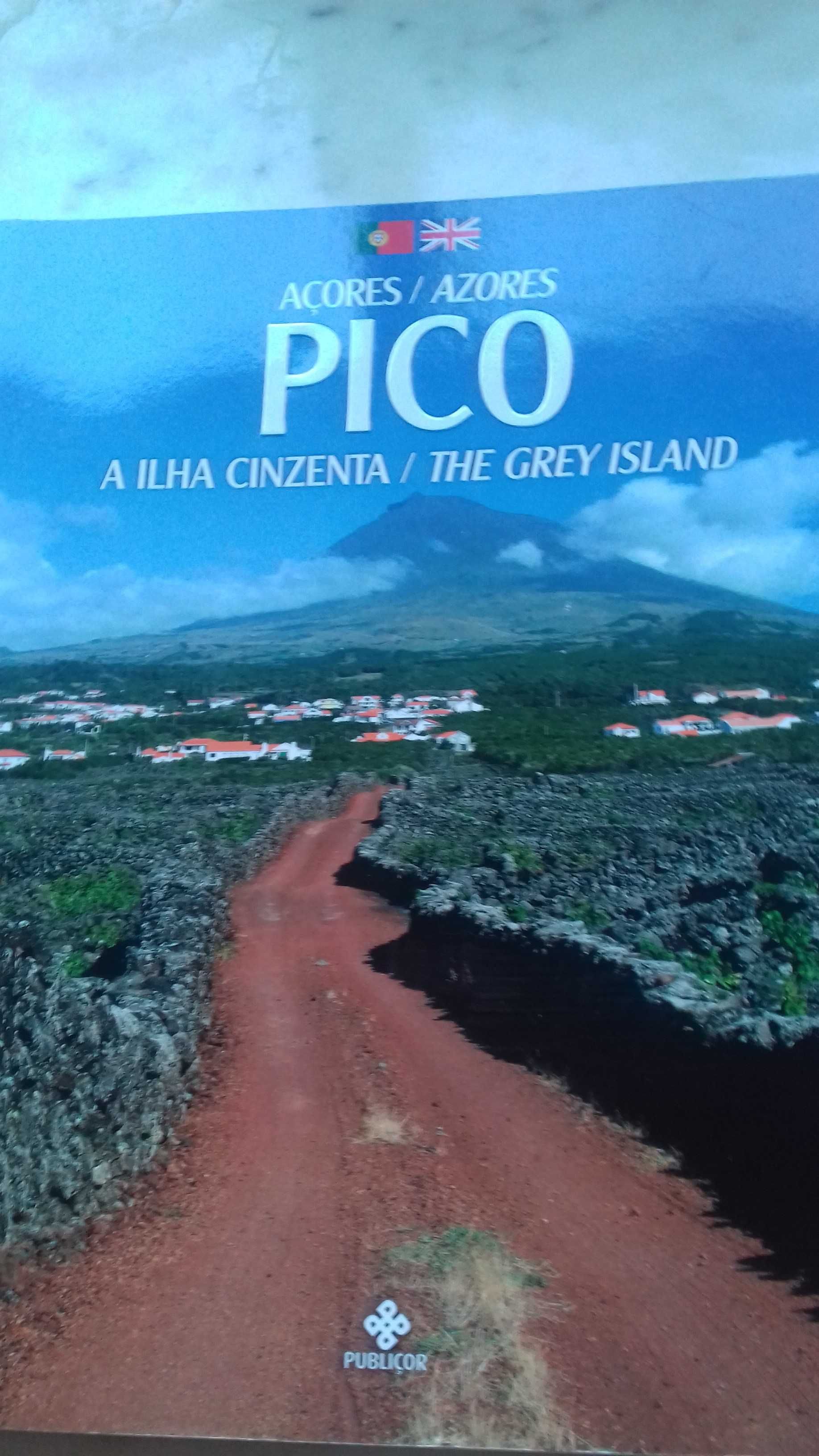 PICO a Ilha CINZENTA Portug/Inglês