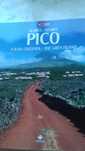 PICO a Ilha CINZENTA Portug/Inglês