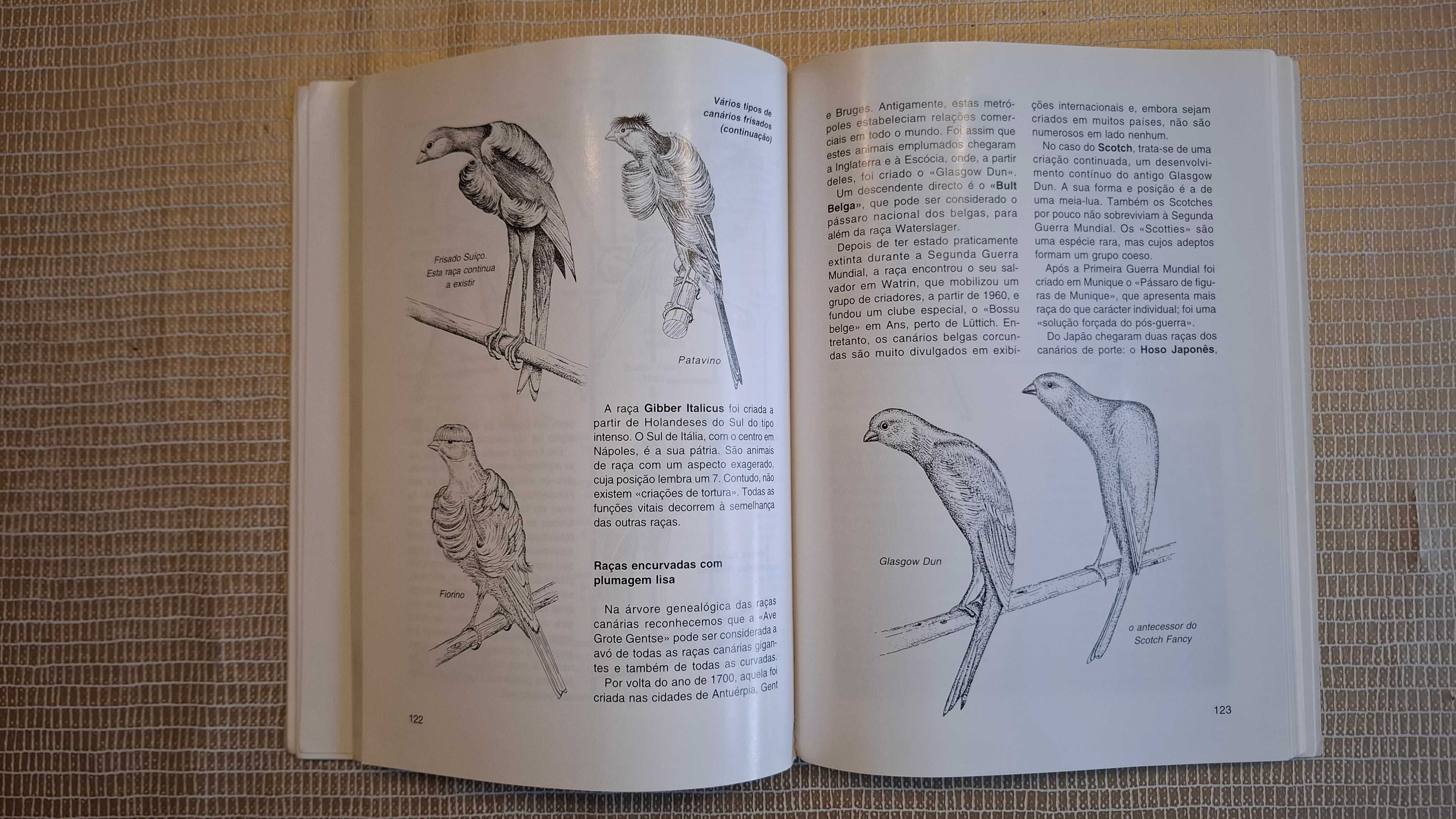 Raças de canários