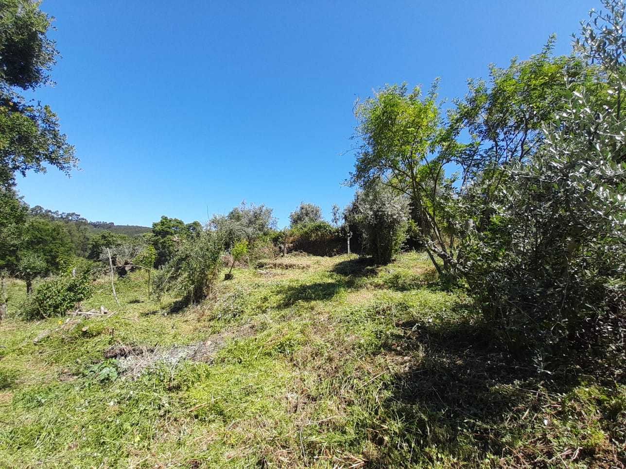 Terreno Urbano para construção na Serra e Junceira