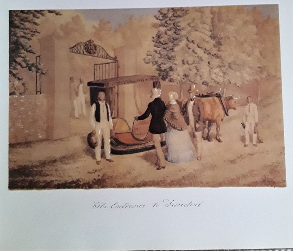 Vinte Ilustrações do jornal de uma visita à Madeira, Isabella de Franç