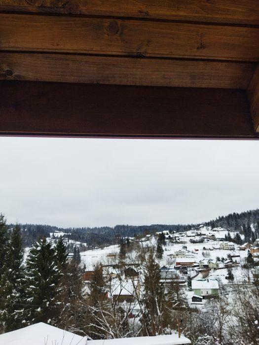 Відпочинок в Славську. Котедж над річкою