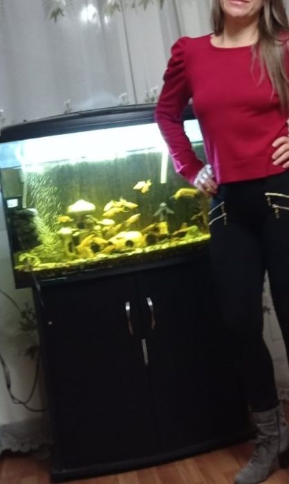 Акваріум з сомами та креветкамии