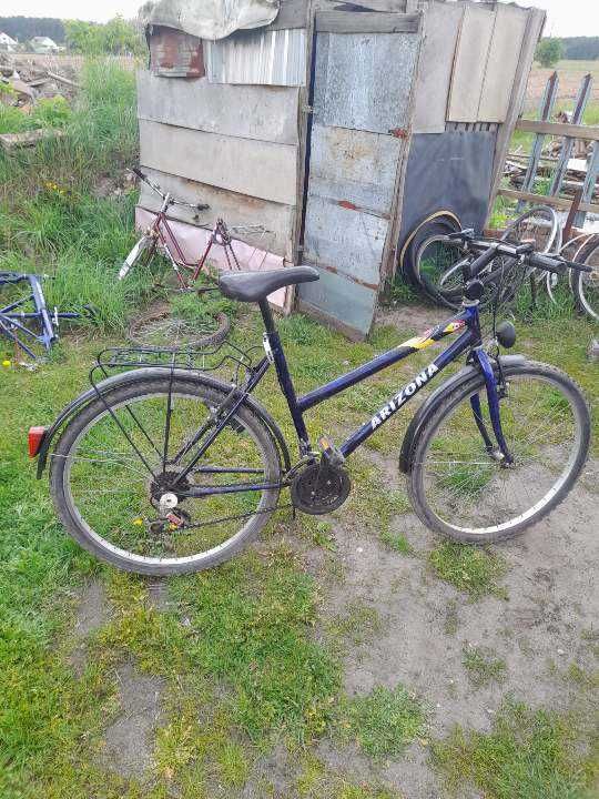 ARIZONA Damka rower