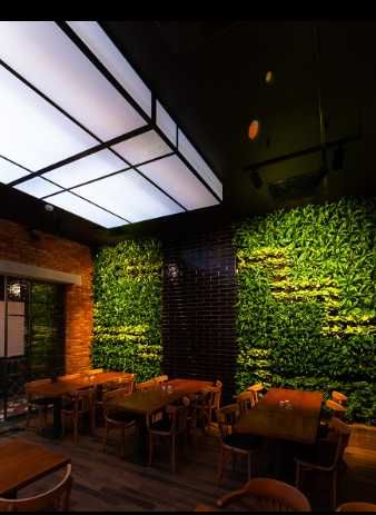 ZIELONA ŚCIANA ogród wertykalny DONICE żywe rośliny MECH CHROBOTEK