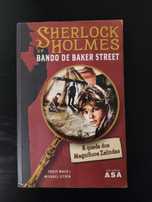 Sherlock Holmes e o Bando de Baker Street