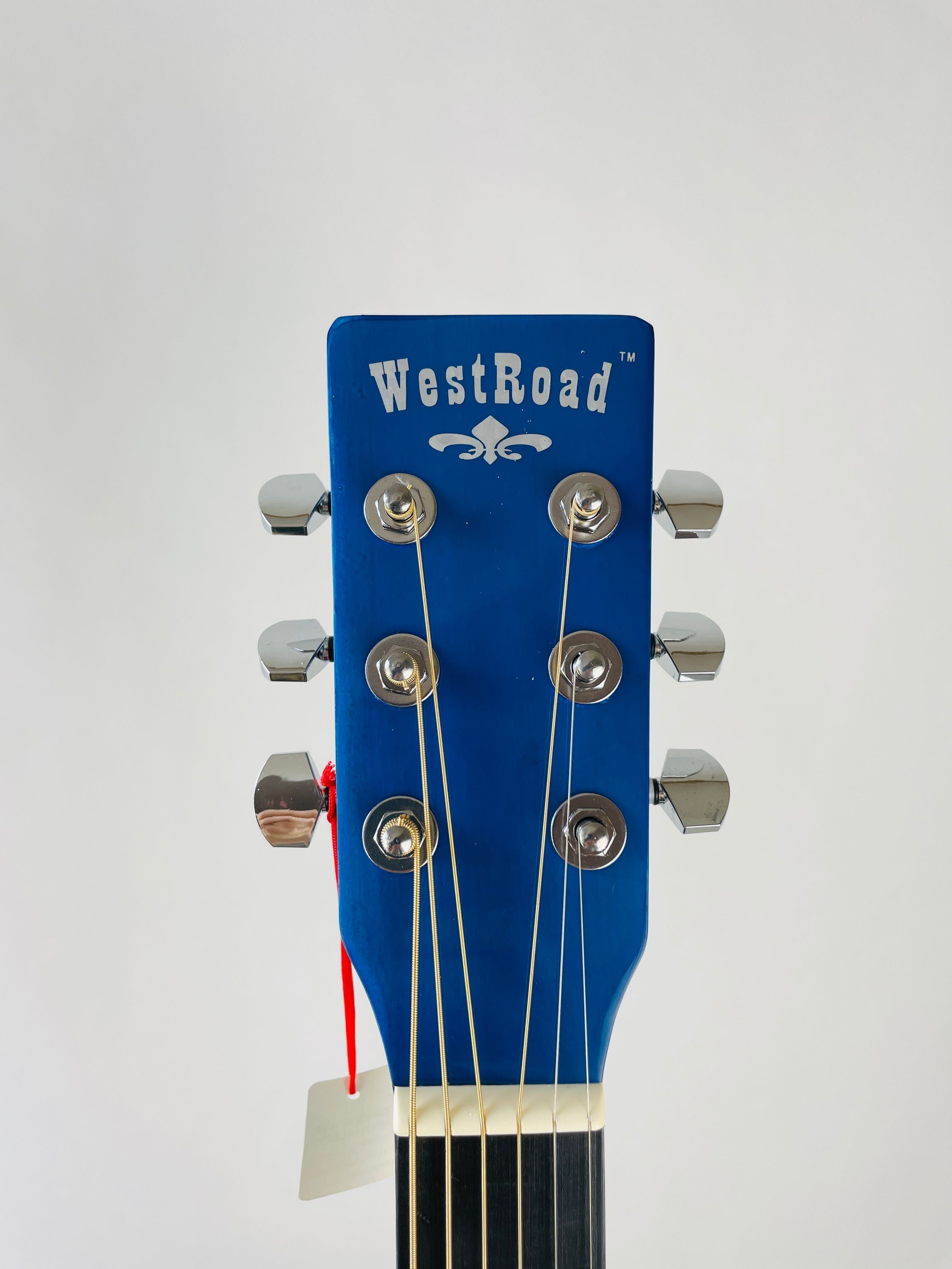 Gitara akustyczna WestRoad WG-29 BLS dobra do nauki