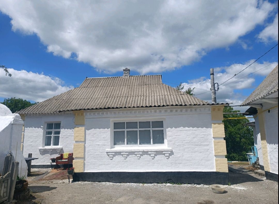 Продам будинок в с. Шкарівка, з найкращим краєвидом, Київська область