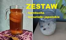 ZESTAW kombucha + kryształki japońskie na odchudzanie, detoks, wit. B